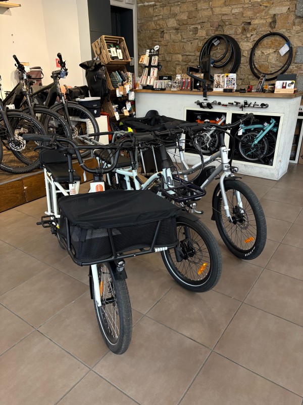 Vélo cargo longtail à Lyon 7